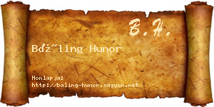 Báling Hunor névjegykártya